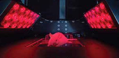 NIR-II InVivo 900-1700nm С������w��ģ�B(t��i)����ϵ�y(t��ng)